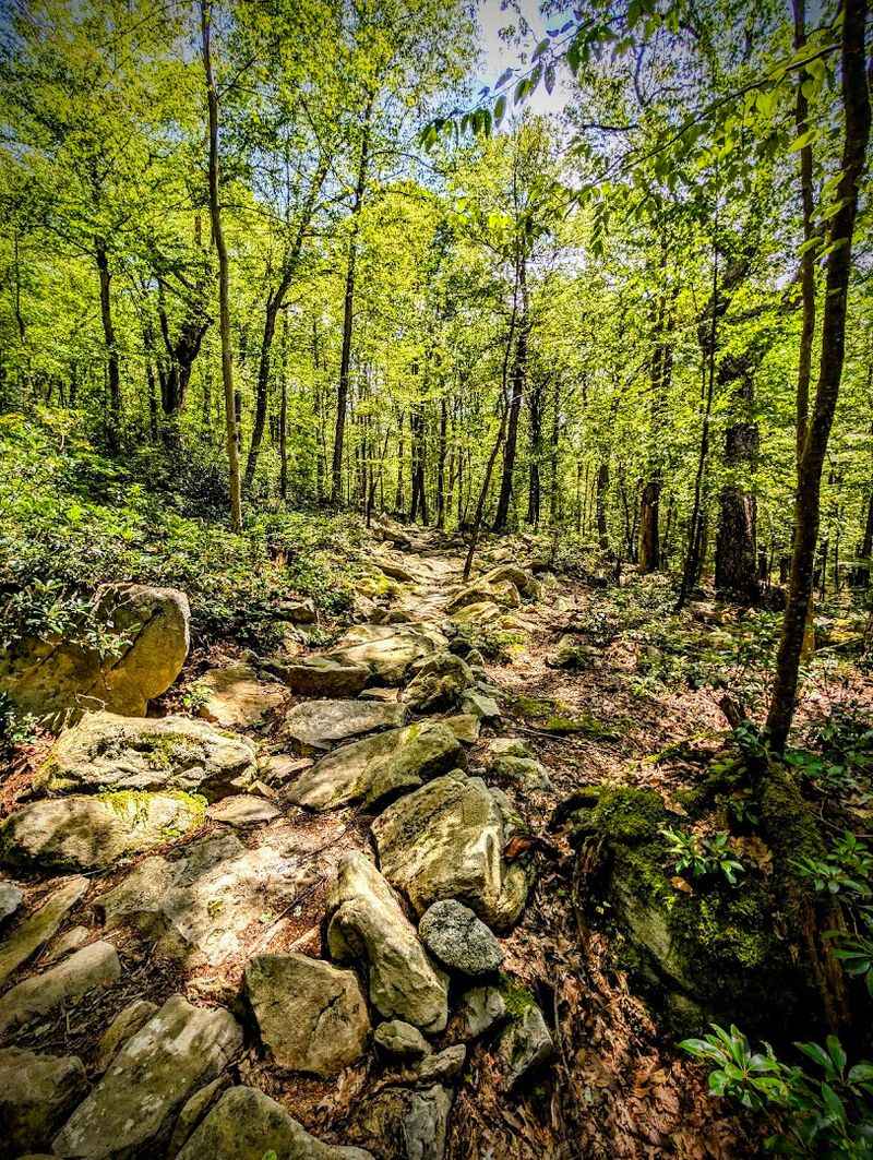 Deep Creek Lake State Park, Where Nature Holds Its Ground