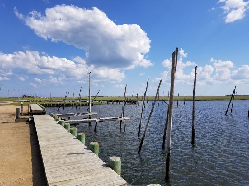 Dining Near Rands Marina