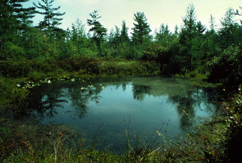 Discover an Ancient Ice-Age Basin Beneath Your Feet