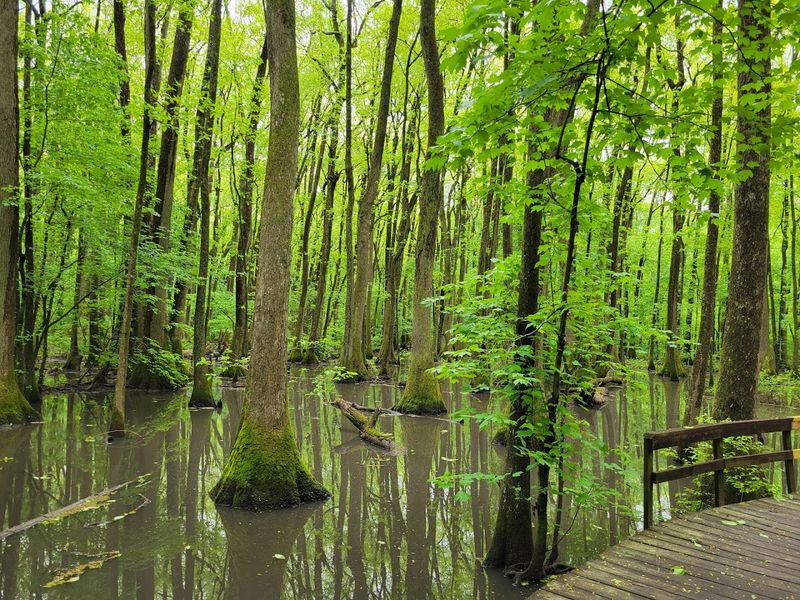 Discover the Diverse Ecosystems and Habitats Discover the Diverse Ecosystems and Habitats
