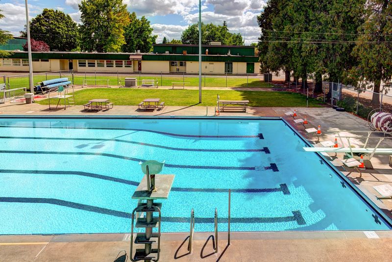 Diving Boards That Keep the Classic Pool Experience Alive Diving Boards That Keep the Classic Pool Experience Alive