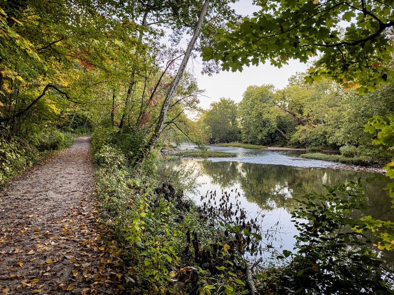 Do Not Miss The Birdwatching Along Trail 1 Do Not Miss The Birdwatching Along Trail 1