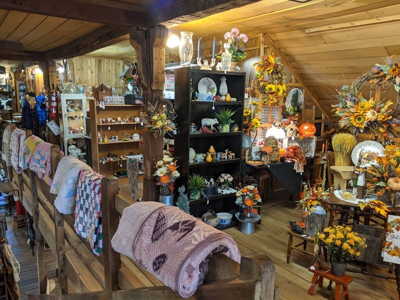 Do Not Miss the Cedar-Scented Rustic Atmosphere