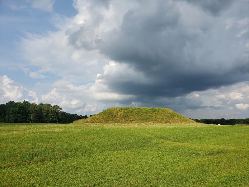 Do Not Miss the University-Led Archaeology Field School Do Not Miss the University-Led Archaeology Field School