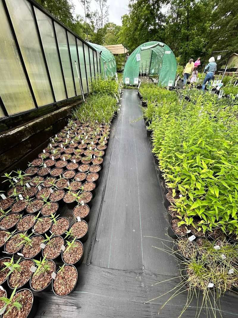 Do Trust Every Plant Is Truly Pesticide-Free