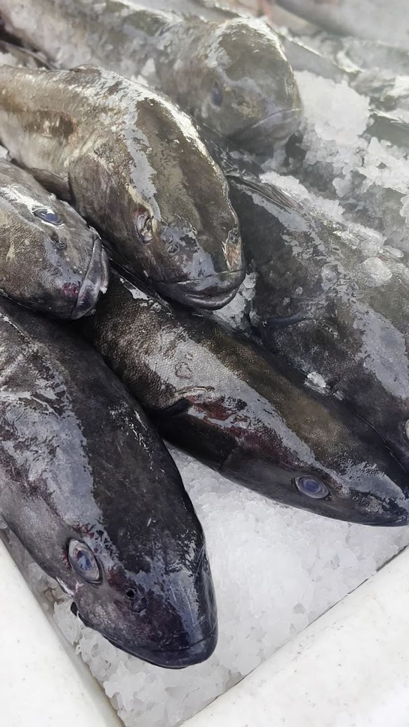 Dockside Fish Market Dockside Fish Market