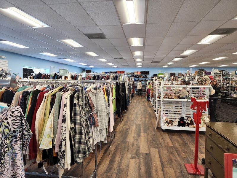 Dog-Friendly Shopping With a Side of Tail Wags
