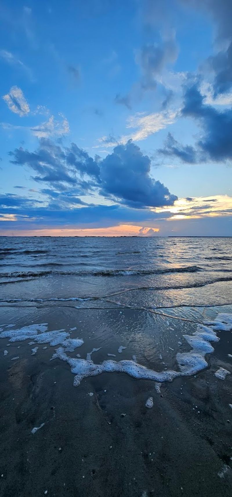 Dolphin Watching Like You Have Never Experienced Before