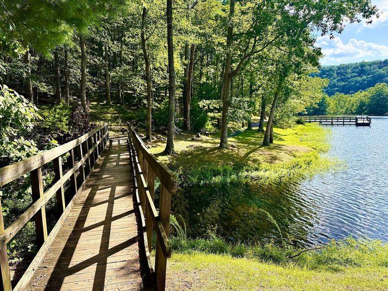 Douthat State Park Footbridge, Clifton Forge, VA