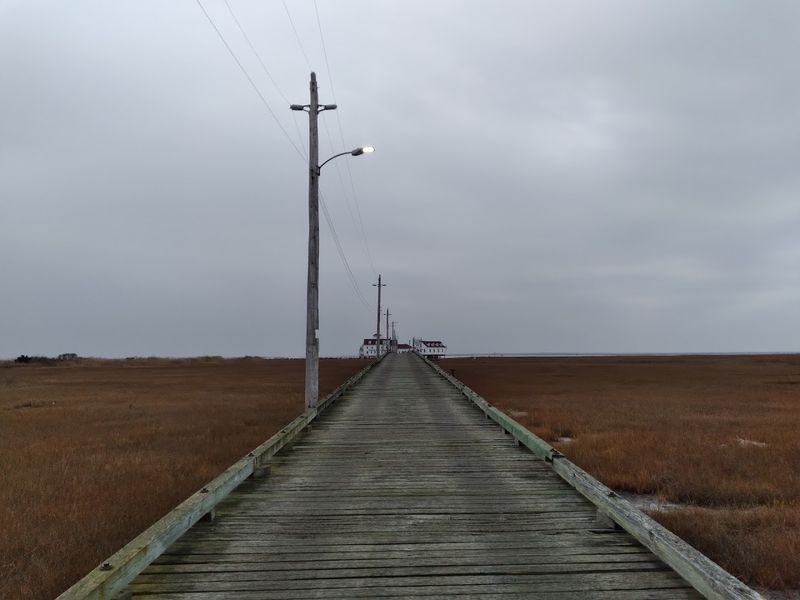 Drive Into the Bay, Only to Find It Ends in Silence Drive Into the Bay, Only to Find It Ends in Silence
