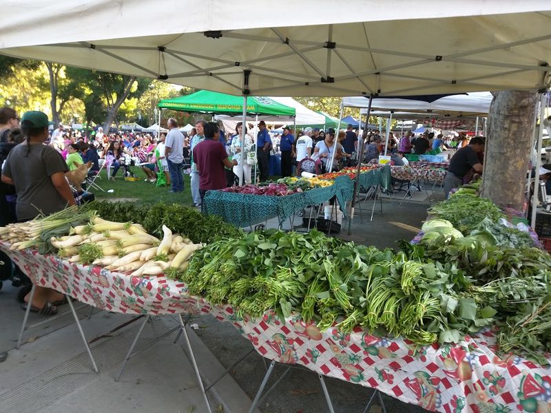 EBT and Market Match Programs Making Fresh Food Accessible