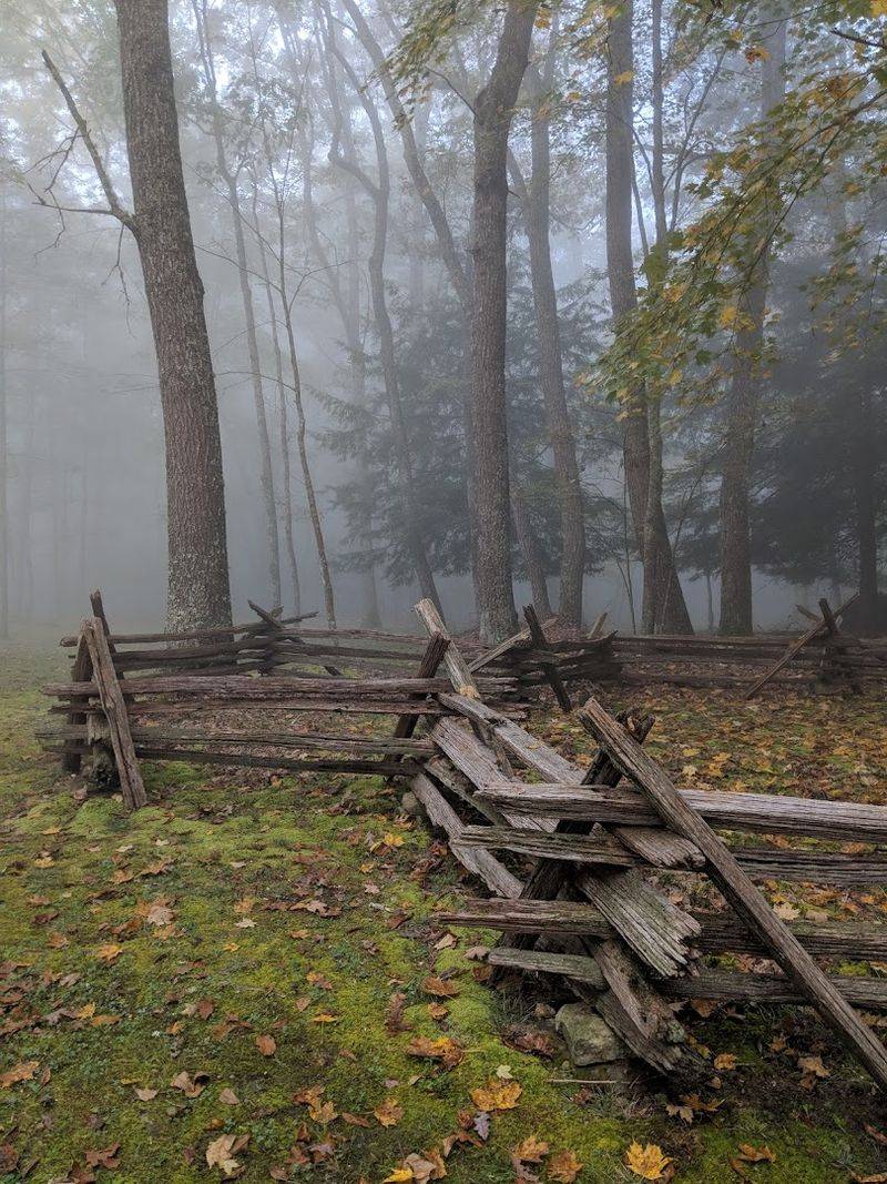Echoes of Battle, Flavors of the Forest