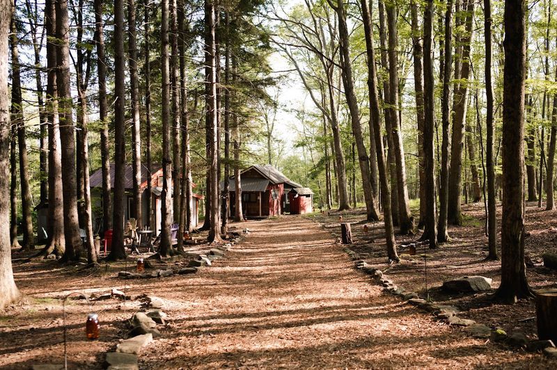 Eco-Friendly Living Proves Comfort and Sustainability Go Together