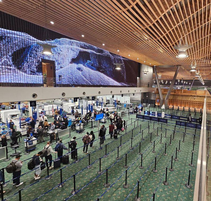 Efficient TSA Security That Actually Moves at a Reasonable Pace