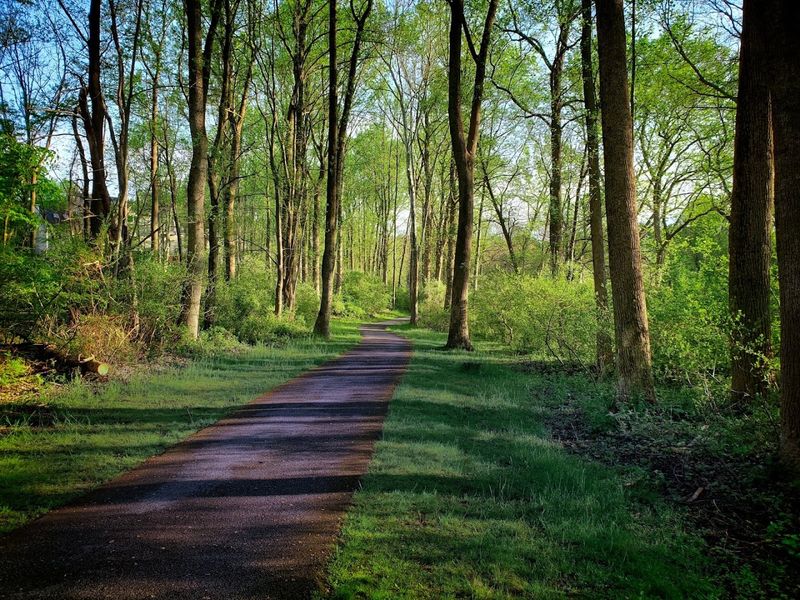 Embracing Nature, Lakes and Pathways
