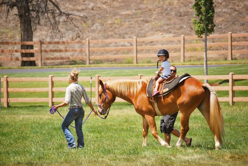 Equestrian Adventures Across Open Desert Range