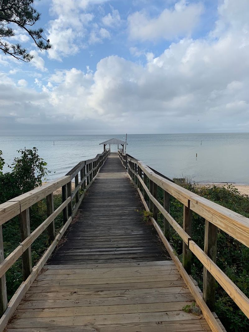 Escape into Nature's Embrace on Scenic Trails