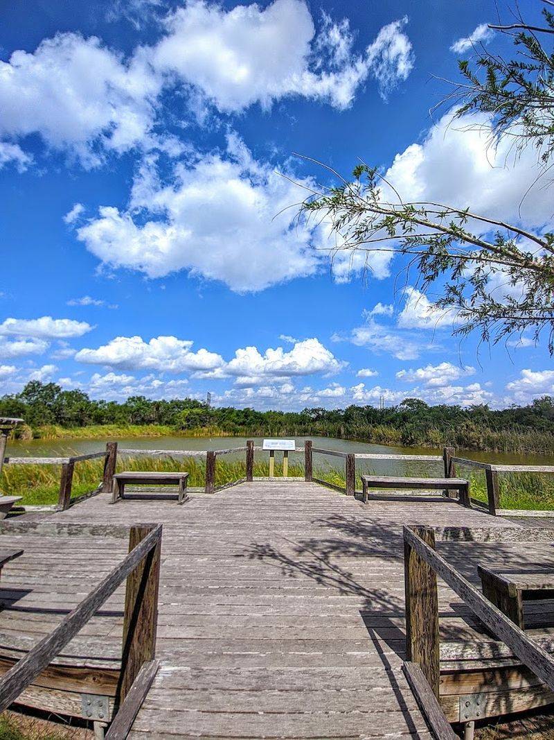 Estero Llano Grande State Park 