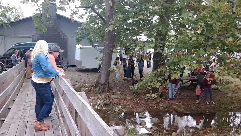 Evenings Alive with Bluegrass Music and Firepit Magic