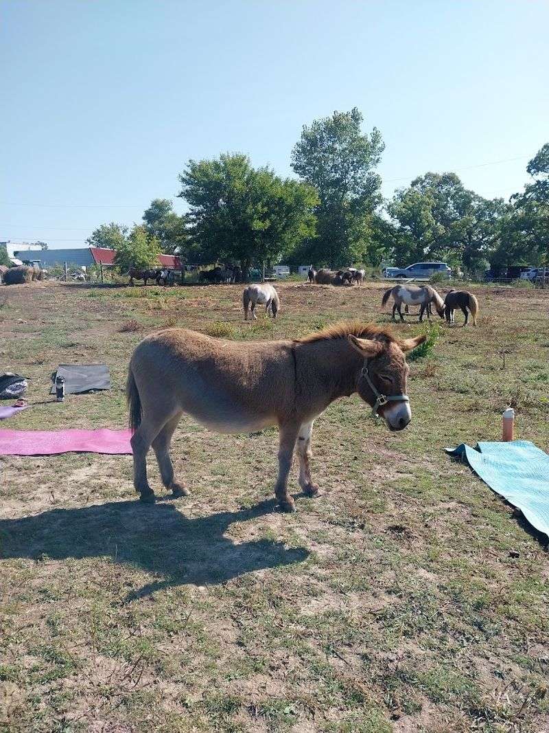 Events and Experiences That Go Beyond a Simple Farm Tour Events and Experiences That Go Beyond a Simple Farm Tour