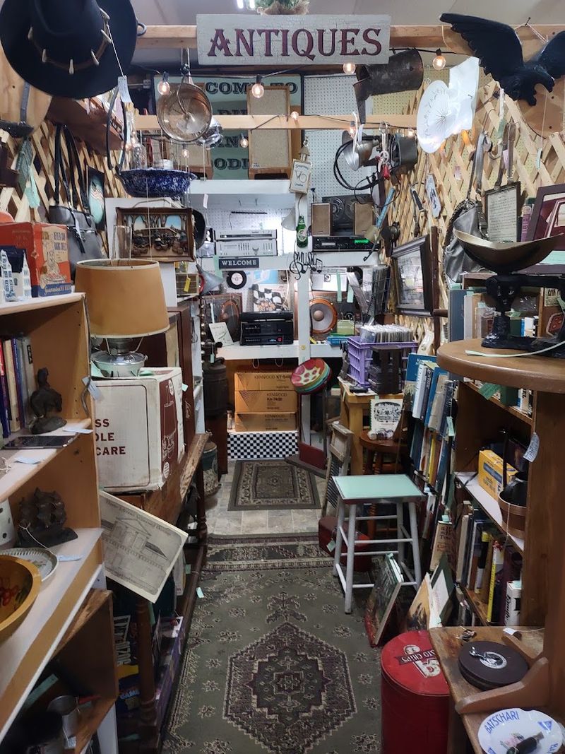 Every Aisle Holds a Story Waiting to Be Found Every Aisle Holds a Story Waiting to Be Found