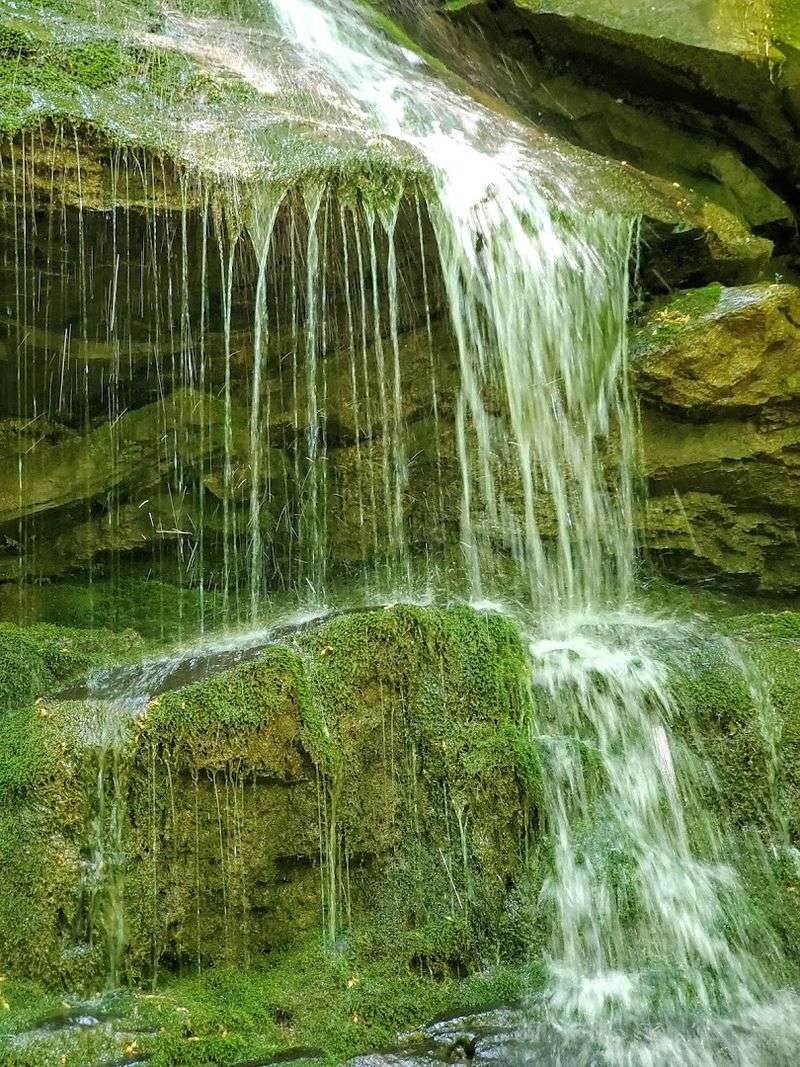 Every Step Brings Another Splash of Wonder