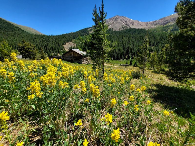 Experiencing the Wildflower Magic: Planning Your Visit
