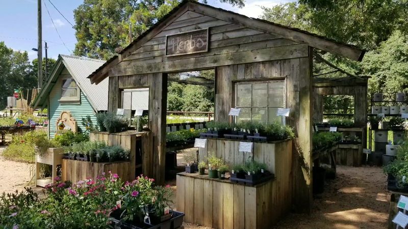 Expert Staff Who Actually Know Their Plants