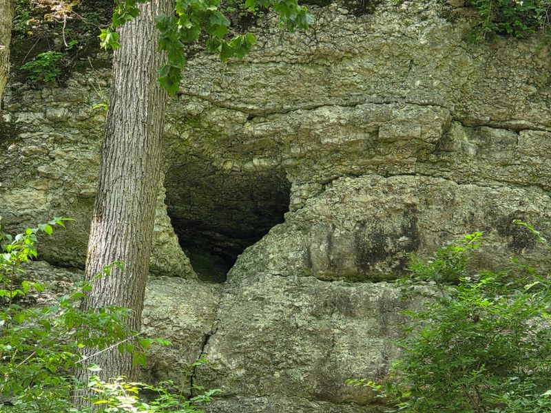 Explore the Towering Limestone Quarry Walls