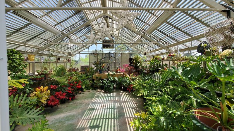 Exploring the 10-Acre Property Before or After Your Meal