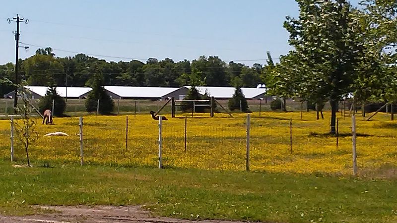 Exploring the Eastern Shore, What Else Is Nearby Exploring the Eastern Shore, What Else Is Nearby