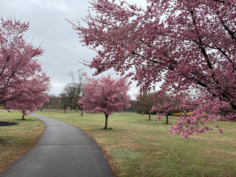 Exploring the Past and Present Along This Five-Town Greenway