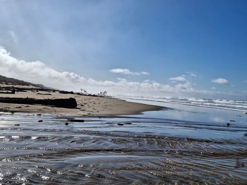 Exploring the Surrounding Area: Waldport and the Oregon Coast Beyond Exploring the Surrounding Area: Waldport and the Oregon Coast Beyond
