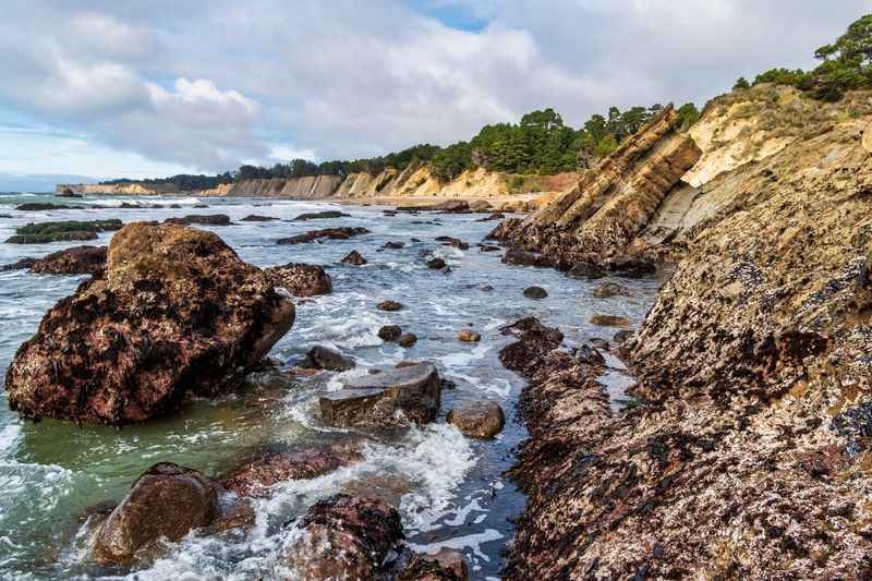 Exploring the Tide Pools: A Whole World at Your Feet