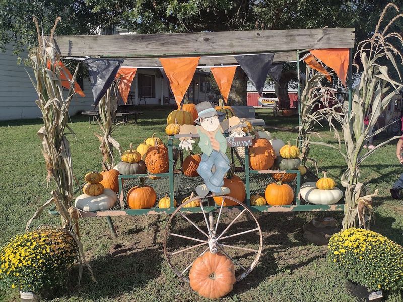 Fall Brings A Different Kind Of Fun