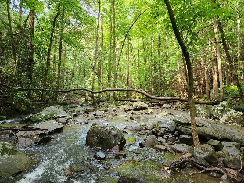 Fall Creek and the Rock It Has Been Sculpting for Centuries