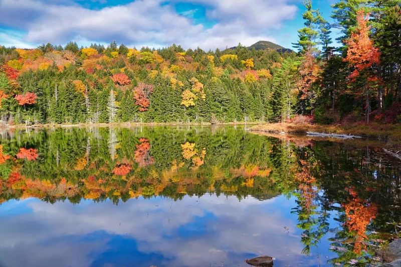 Falls Pond: The Serene Secret Hiding Just Past the Drama