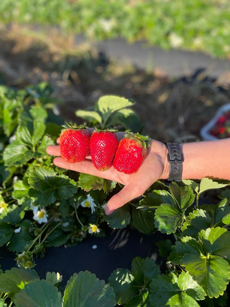 Farm-Fresh Food That Actually Delivers: Fueling Up at the Quarry Farm-Fresh Food That Actually Delivers: Fueling Up at the Quarry