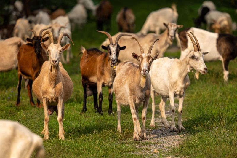 Farm Tours That Teach You More Than You Expected Farm Tours That Teach You More Than You Expected