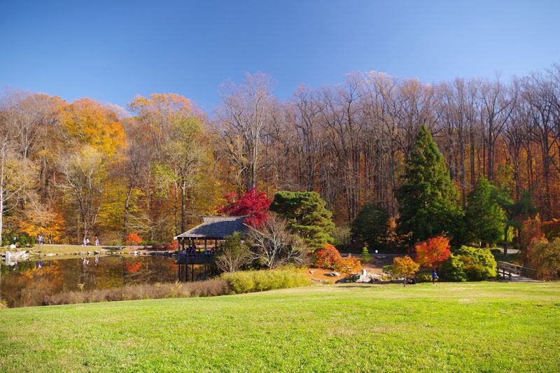 Finding Peace in the Japanese-Inspired Gude Garden