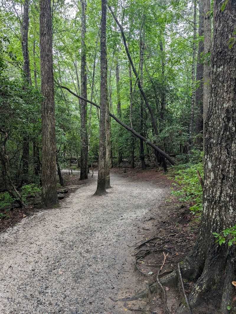 Finding The Trail And Getting Your Bearings