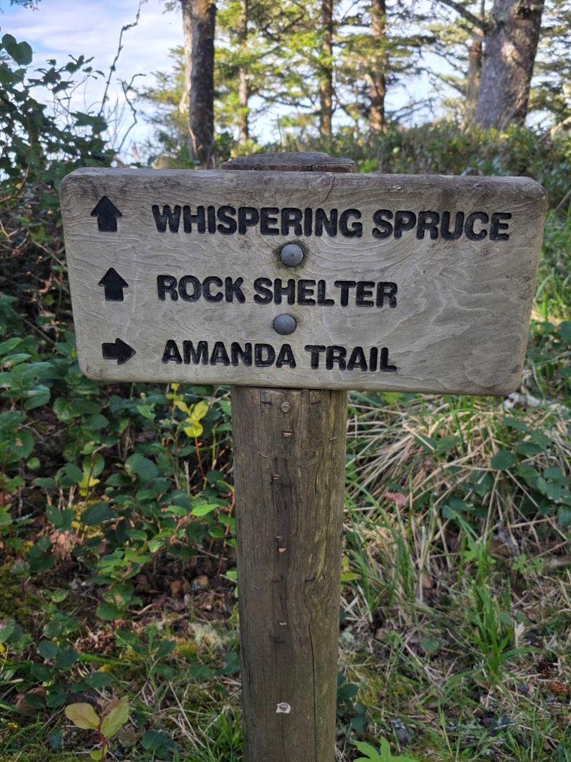 Finding the Trailhead and Navigating the Area