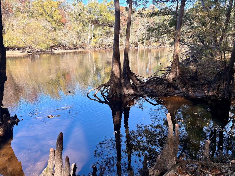 Fishing, History, and the Quiet Magic of the Lowcountry Fishing, History, and the Quiet Magic of the Lowcountry