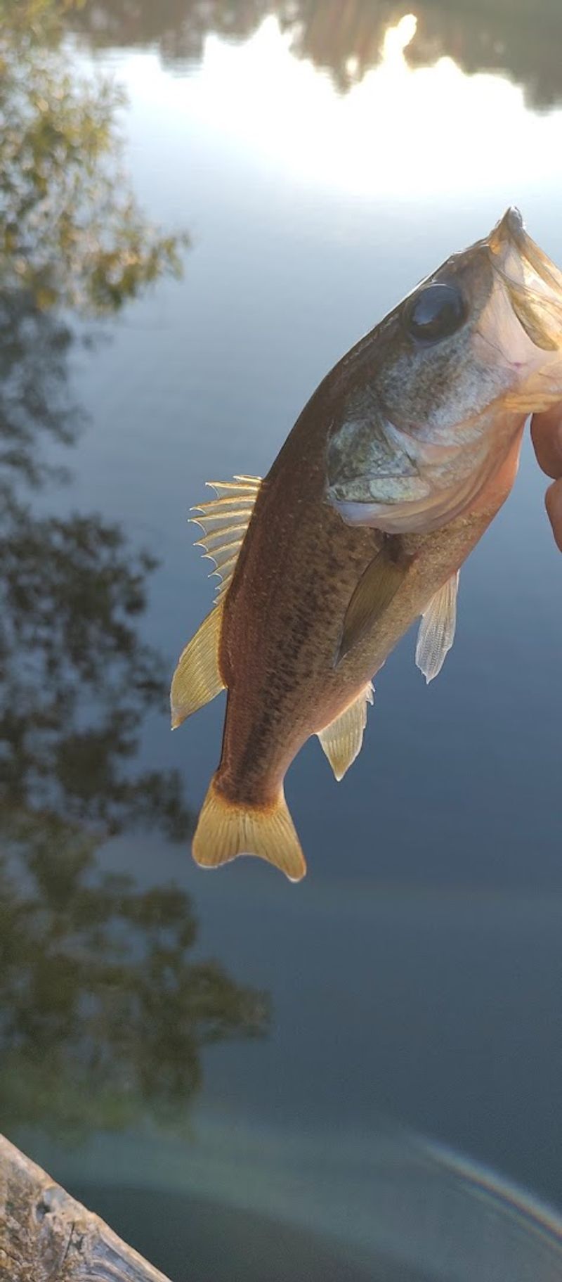 Fishing, Trails, and Wide Open Spaces to Explore Fishing, Trails, and Wide Open Spaces to Explore