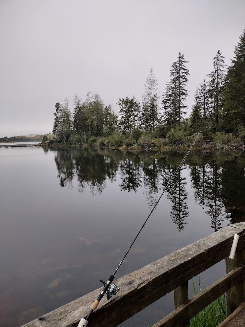 Fishing at a Lake Stocked With Trophy-Worthy Catches Fishing at a Lake Stocked With Trophy-Worthy Catches