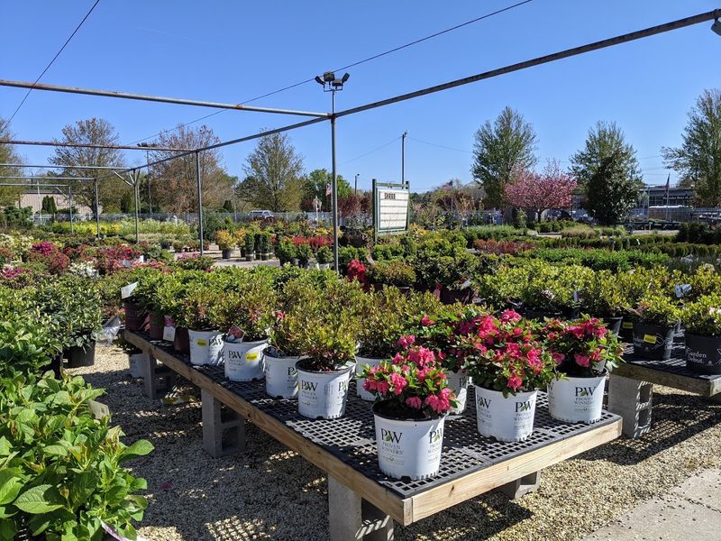 Five Acres Of Retail Space 