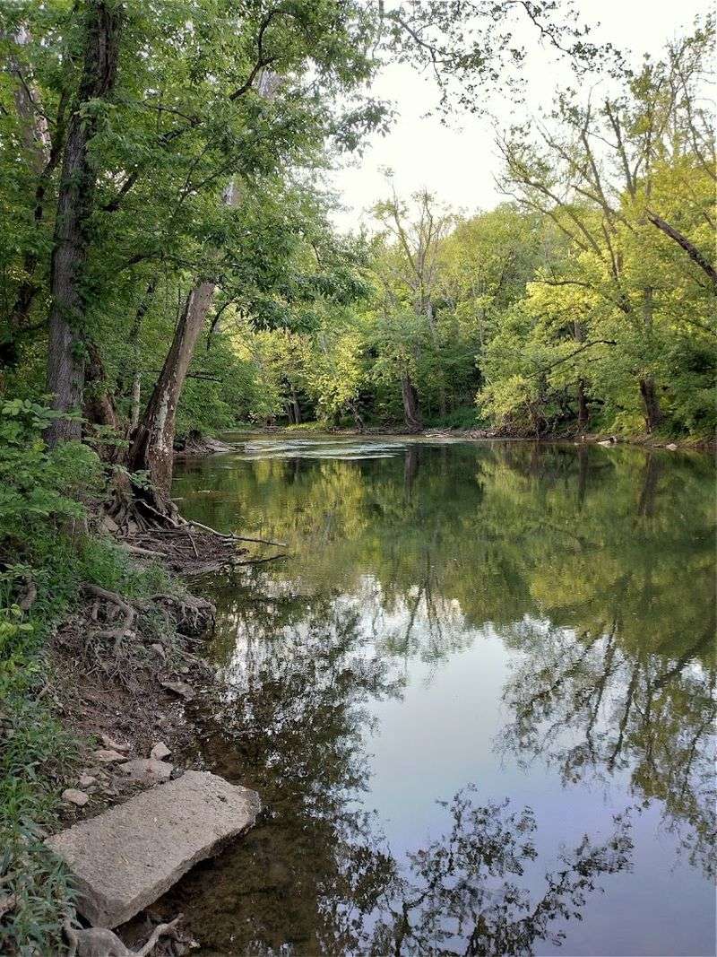 Flat Rock River Brings a Slower, Sweeter Kind of Adventure