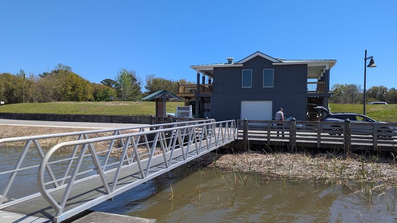 Floating Platform Campsites: Sleeping Above the Swamp