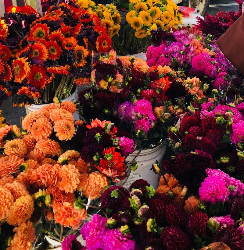 Flowers, Plants, and Crafts That Brighten Any Home