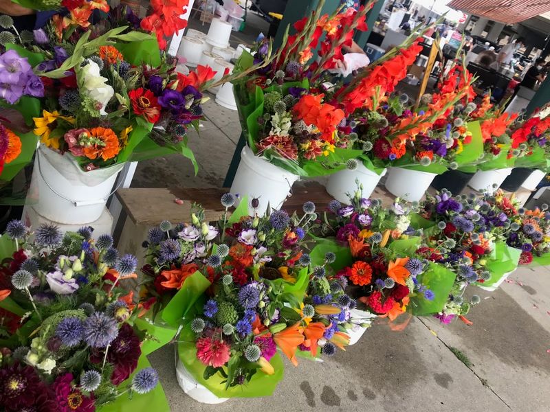 Flowers So Beautiful They Stop You Mid-Step